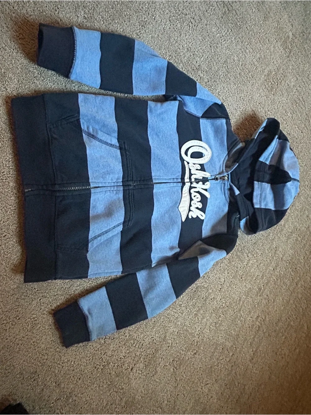 OshKosh B'gosh Light Blue & Black Lined Hoodie
